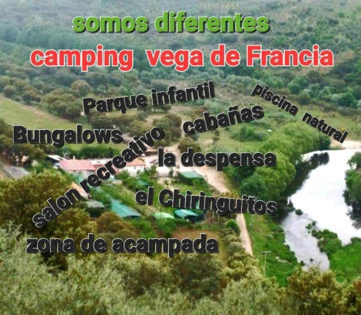 Bungalows, Camping Vega De Francia Sotoserrano Zewnętrze zdjęcie
